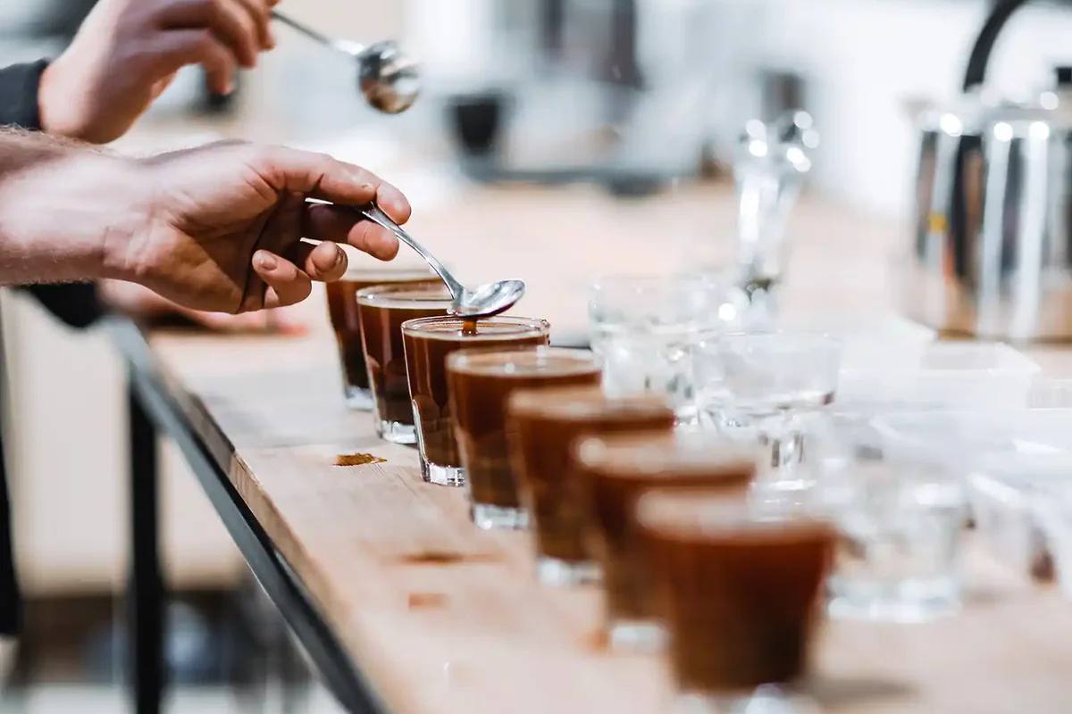 The art of coffee tasting